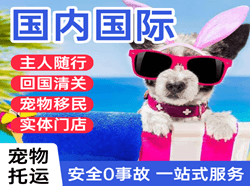 赤峰玉龙机场快运国际宠物托运 【国